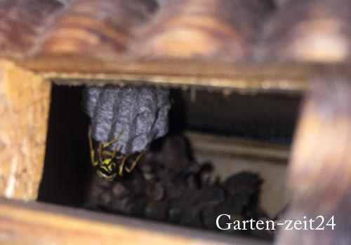 Insektenhotel im naturbelassenen Garten