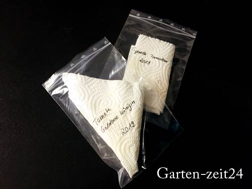 Samen-Tütchen mit auf Küchenpapier getrockneten Samen