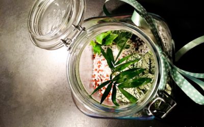 Garten im Glas: DIY Mini-Ökosystem anlegen