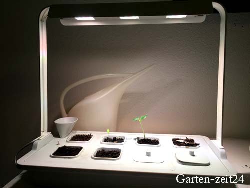 Indoor-Gardening System